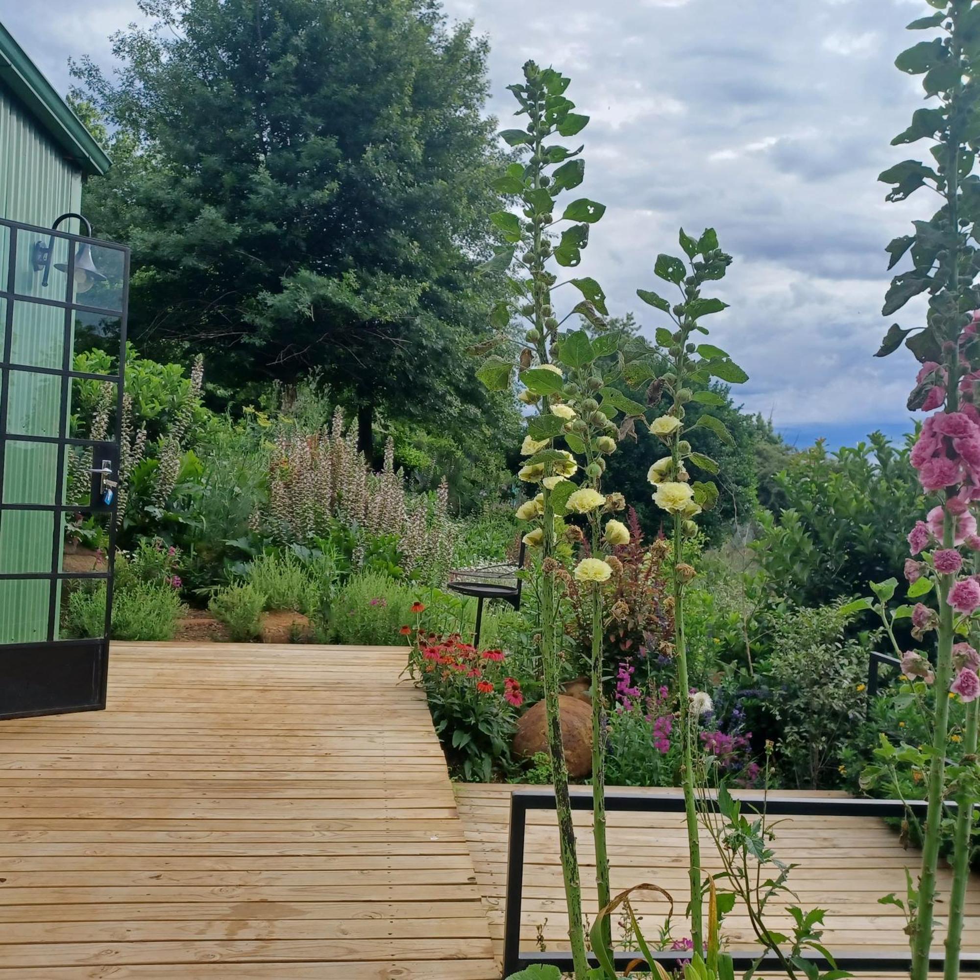 Little Fields Country House And Cottages Howick Ngoại thất bức ảnh