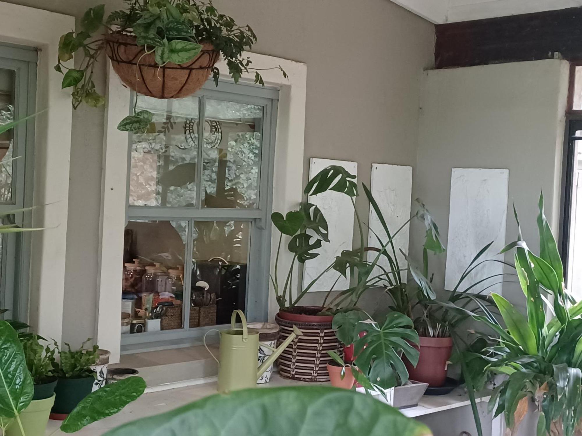 Little Fields Country House And Cottages Howick Ngoại thất bức ảnh