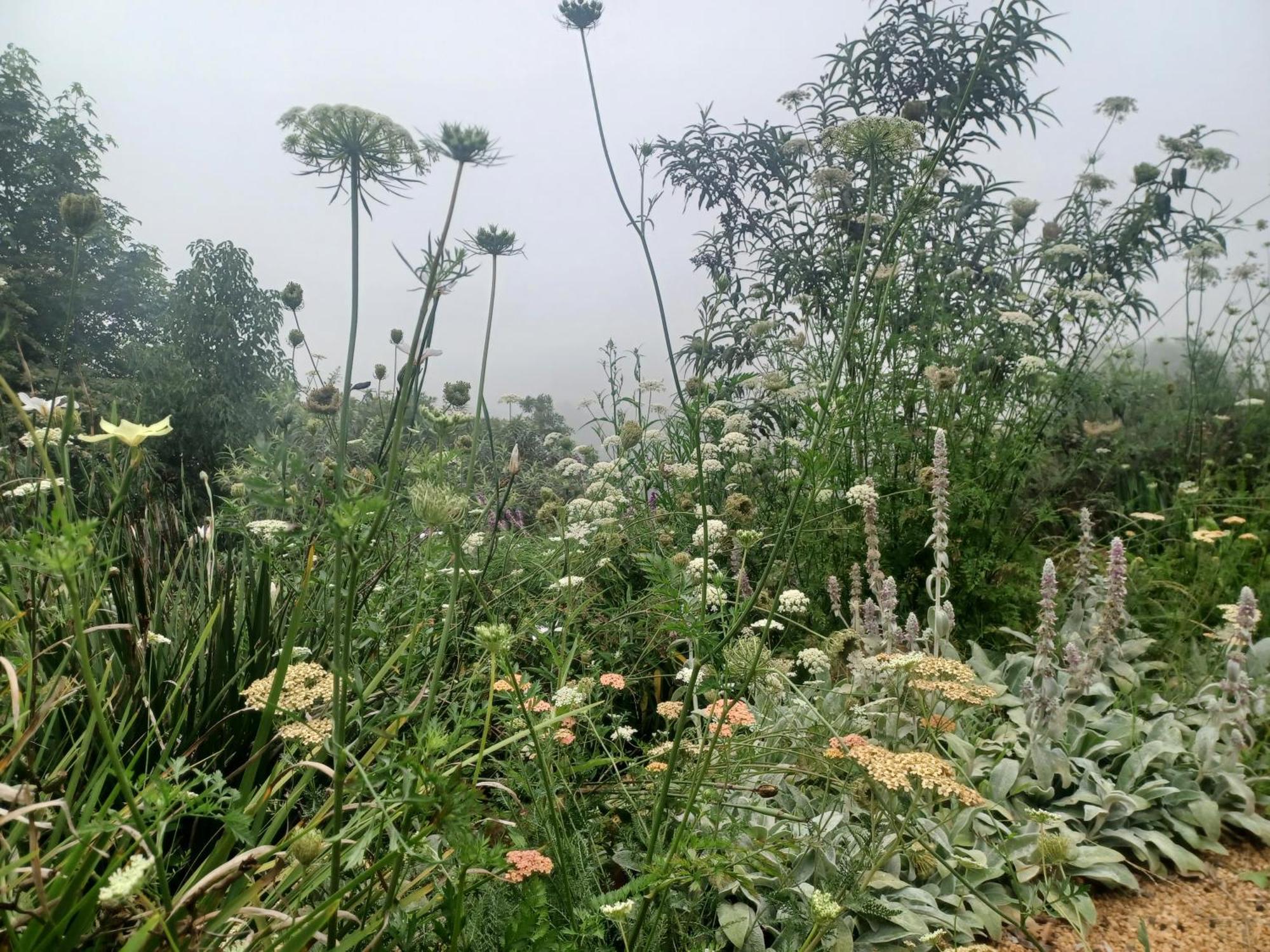 Little Fields Country House And Cottages Howick Ngoại thất bức ảnh