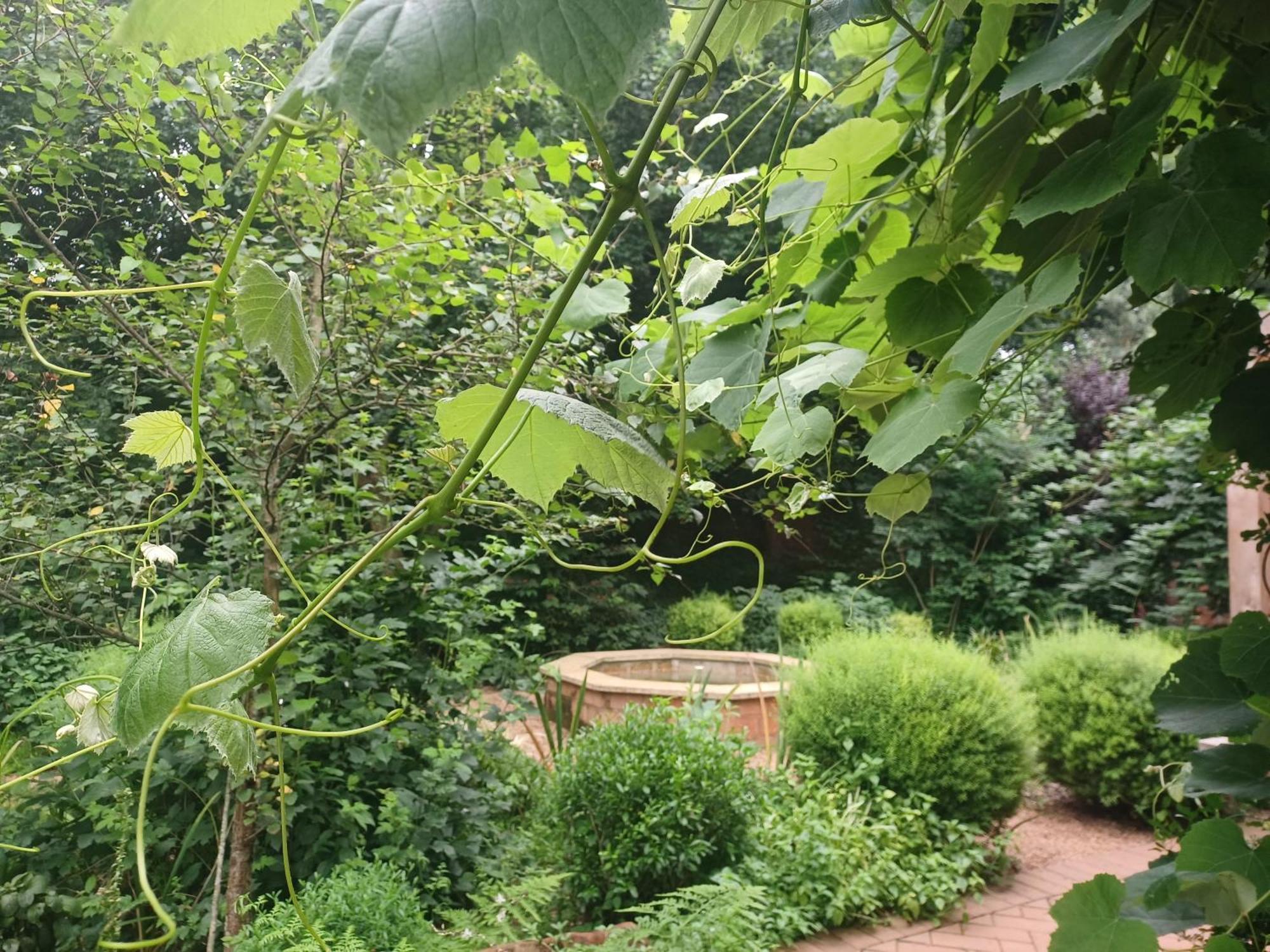 Little Fields Country House And Cottages Howick Ngoại thất bức ảnh